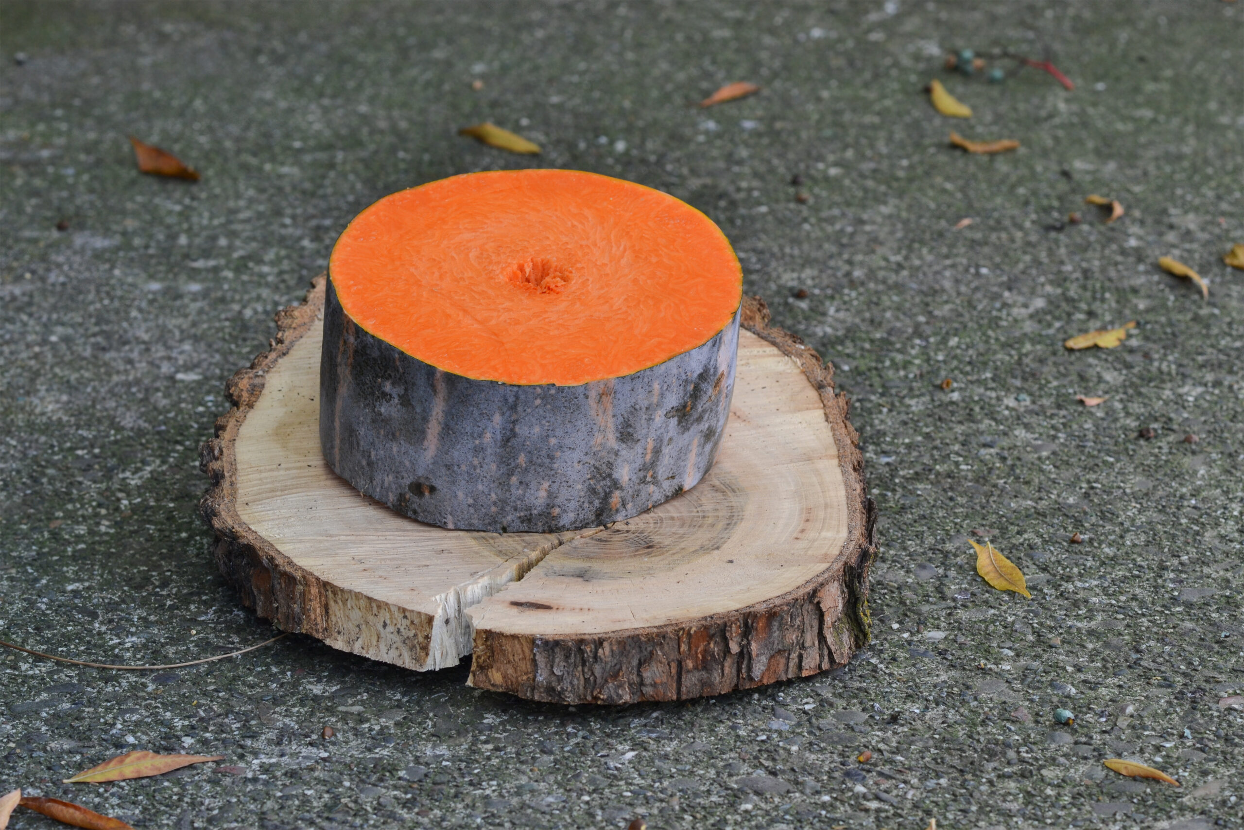 Painted wood slice with bright orange top.